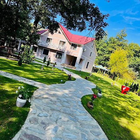 Pensiunea Pink House Runcu Hotel รุนกู ภายนอก รูปภาพ