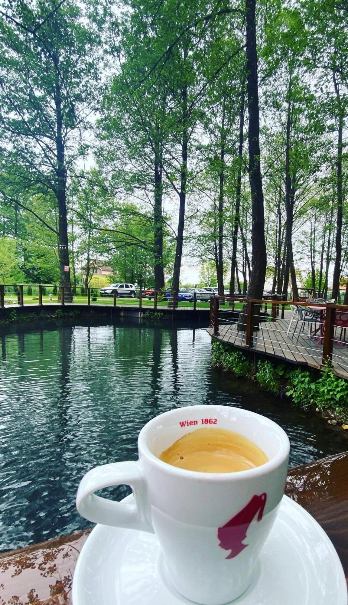 Pensiunea Pink House Runcu Hotel รุนกู ภายนอก รูปภาพ